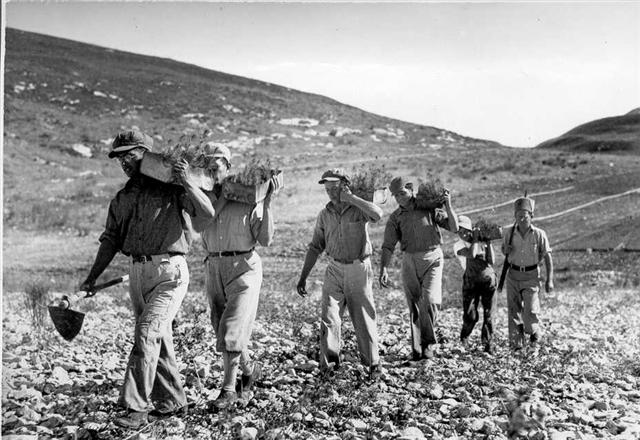 PHKH1275901 (Small).jpg