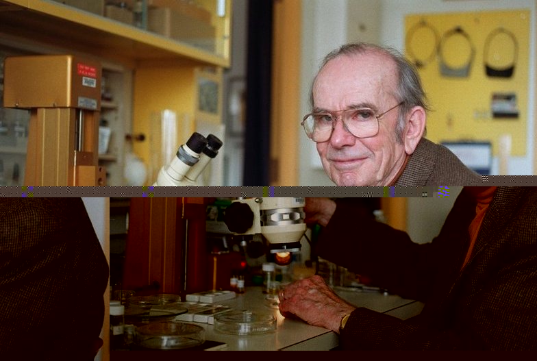 Thomas-eisner custom-e993b8c3198bc9103b96334e6652c97efd200da6-s800-c85.jpg