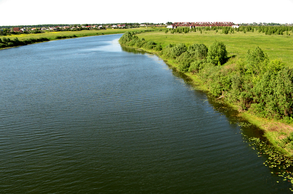 Файл:Pronya river in Spassky district of Ryazan Oblast 02.jpg