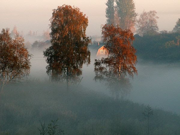 Файл:Shallow Fog.jpg