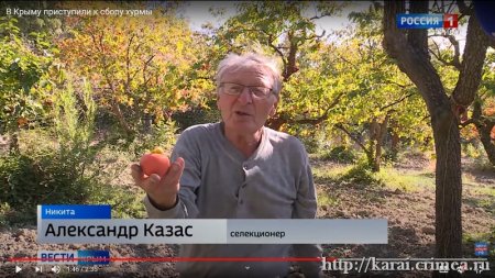 1606343039 kazas karaimy1.jpg