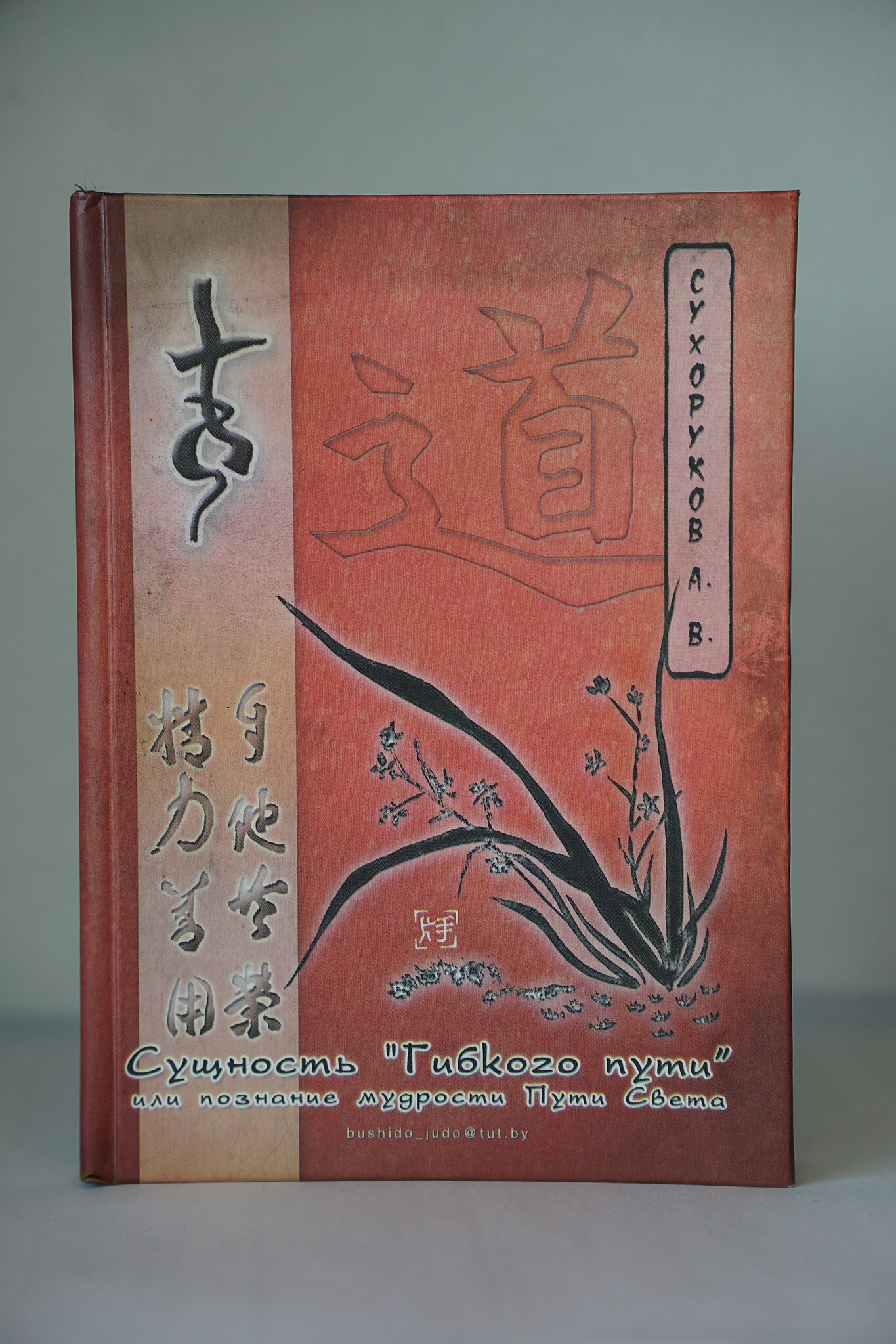 «Сущность гибкого пути» или познание мудрости Пути Света Книга А. В. Сухорукова
