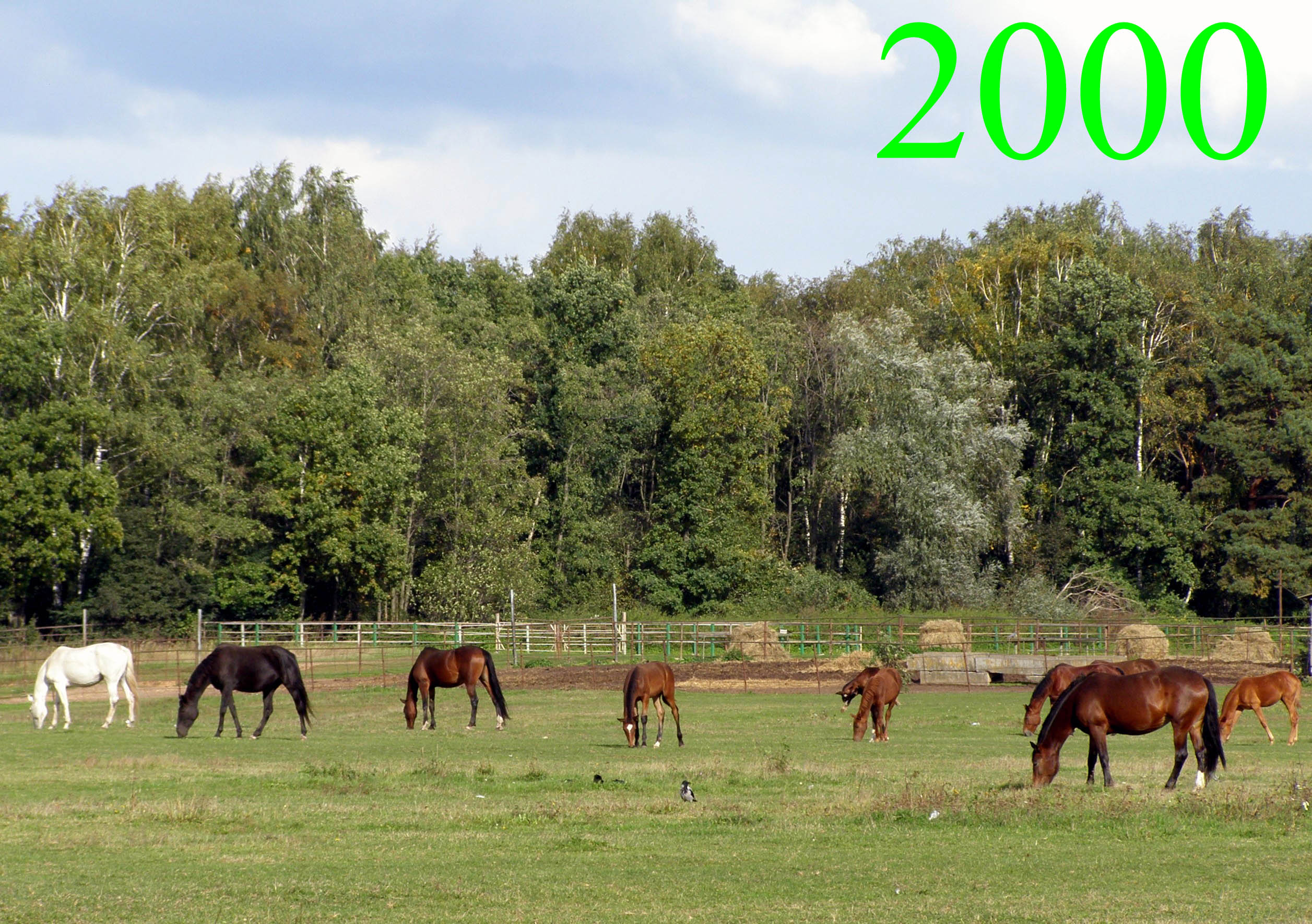 Автору 2000 статей