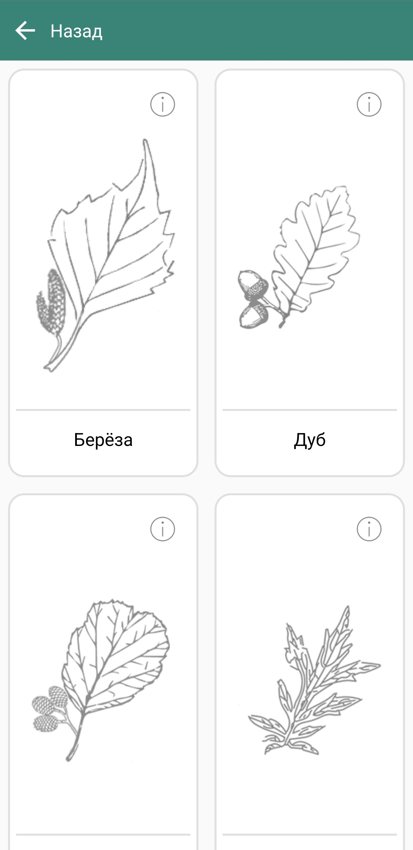 Screenshot 20250327 152417 Pollen Club.jpg