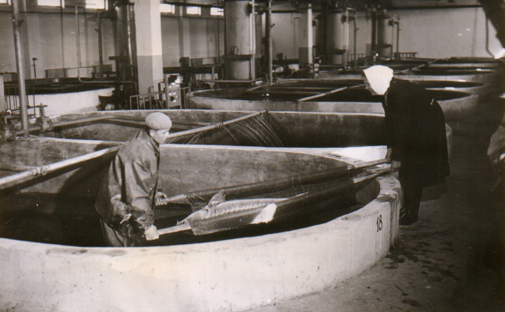 Кизанский ОРЗ6.jpg