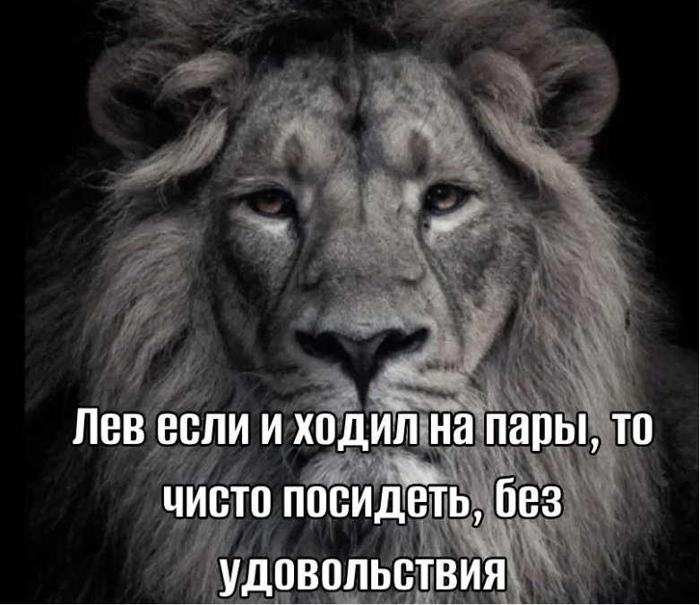 Файл:Лев 1.png