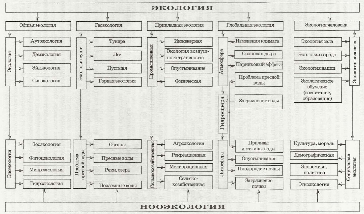 Современная структура экологии