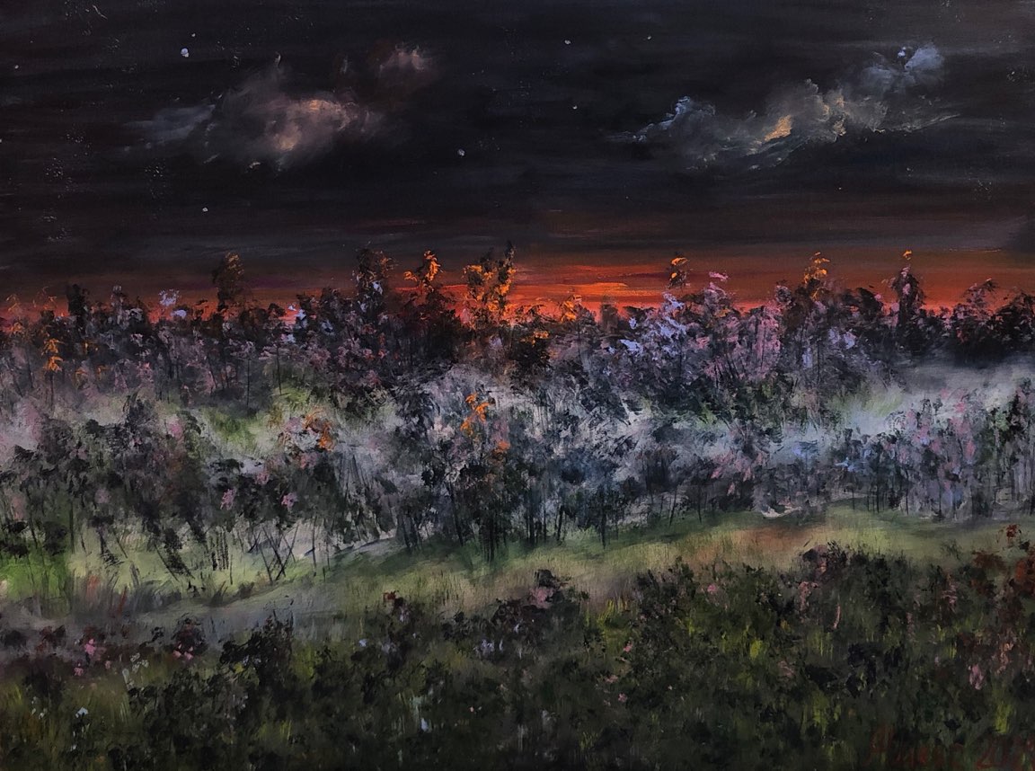 Летняя ночь