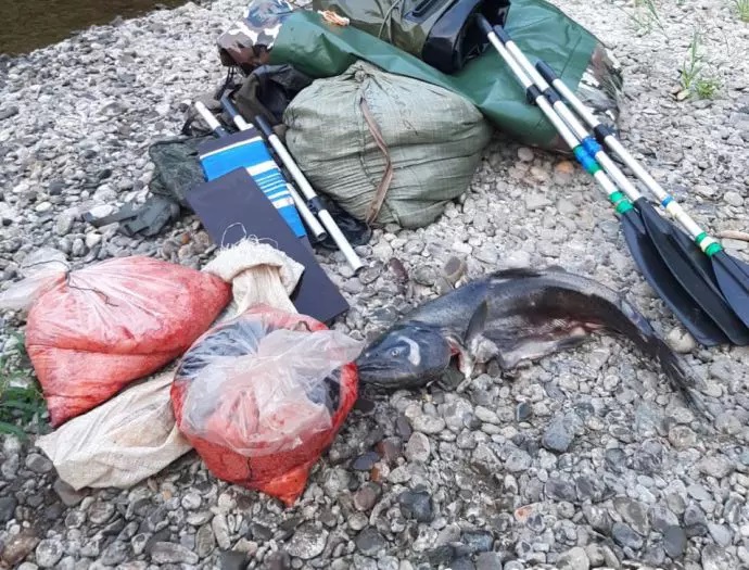 Изъятая икра и снасти