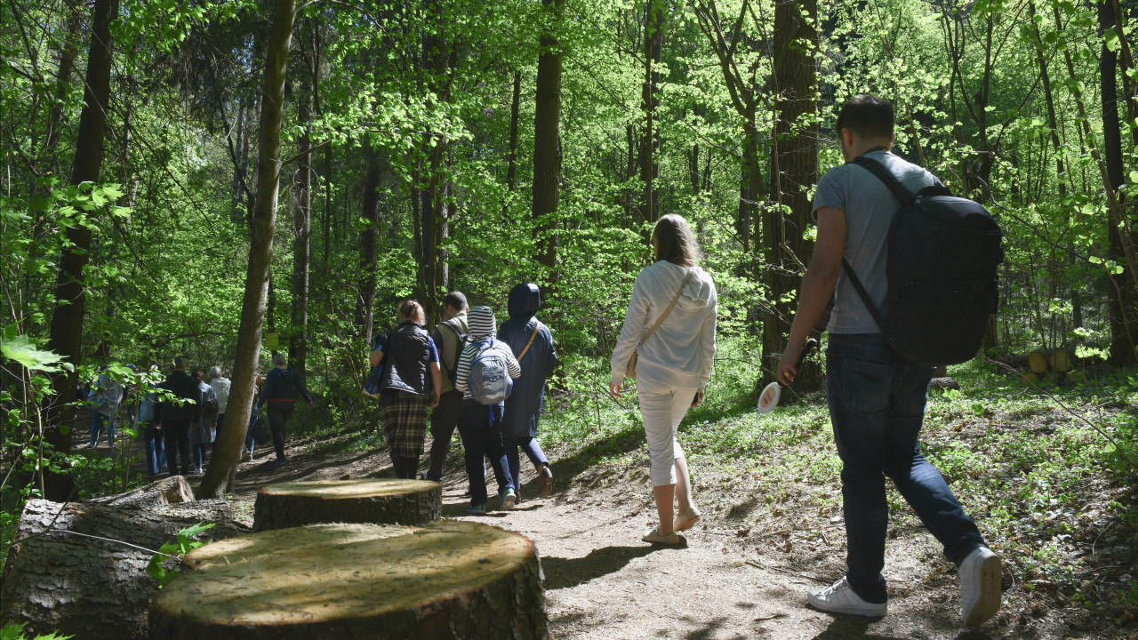 Файл:Экотропа «Русский лес».jpg