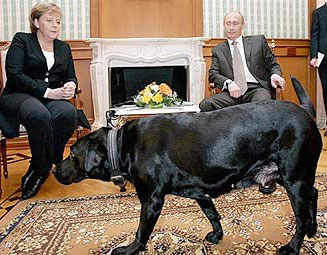 На встрече с канцлером Германии