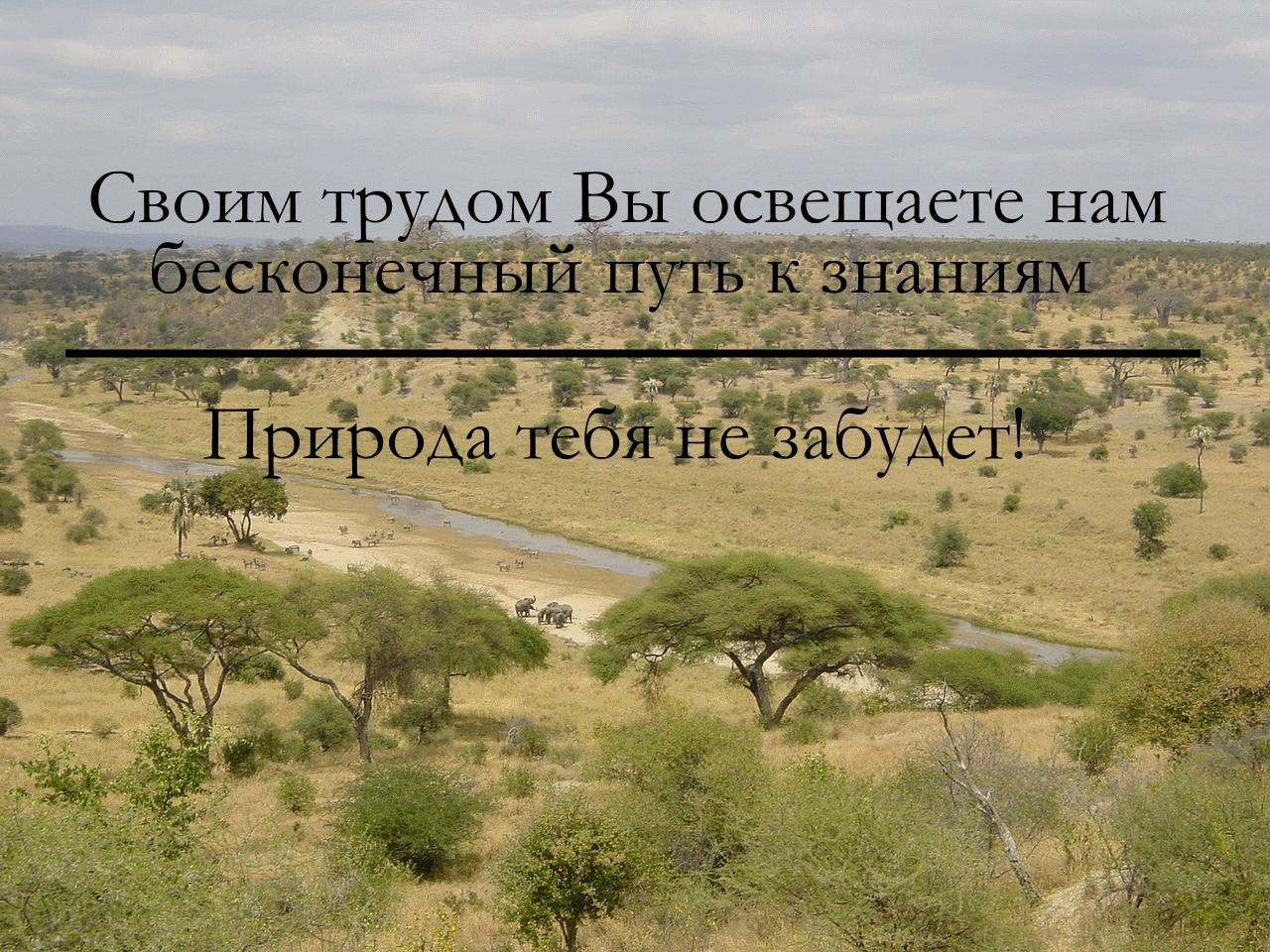 Биоорден ЦП.png