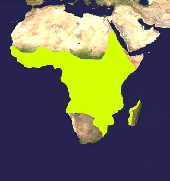 Ареал распространения