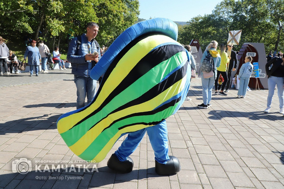 Море жизни6.jpg