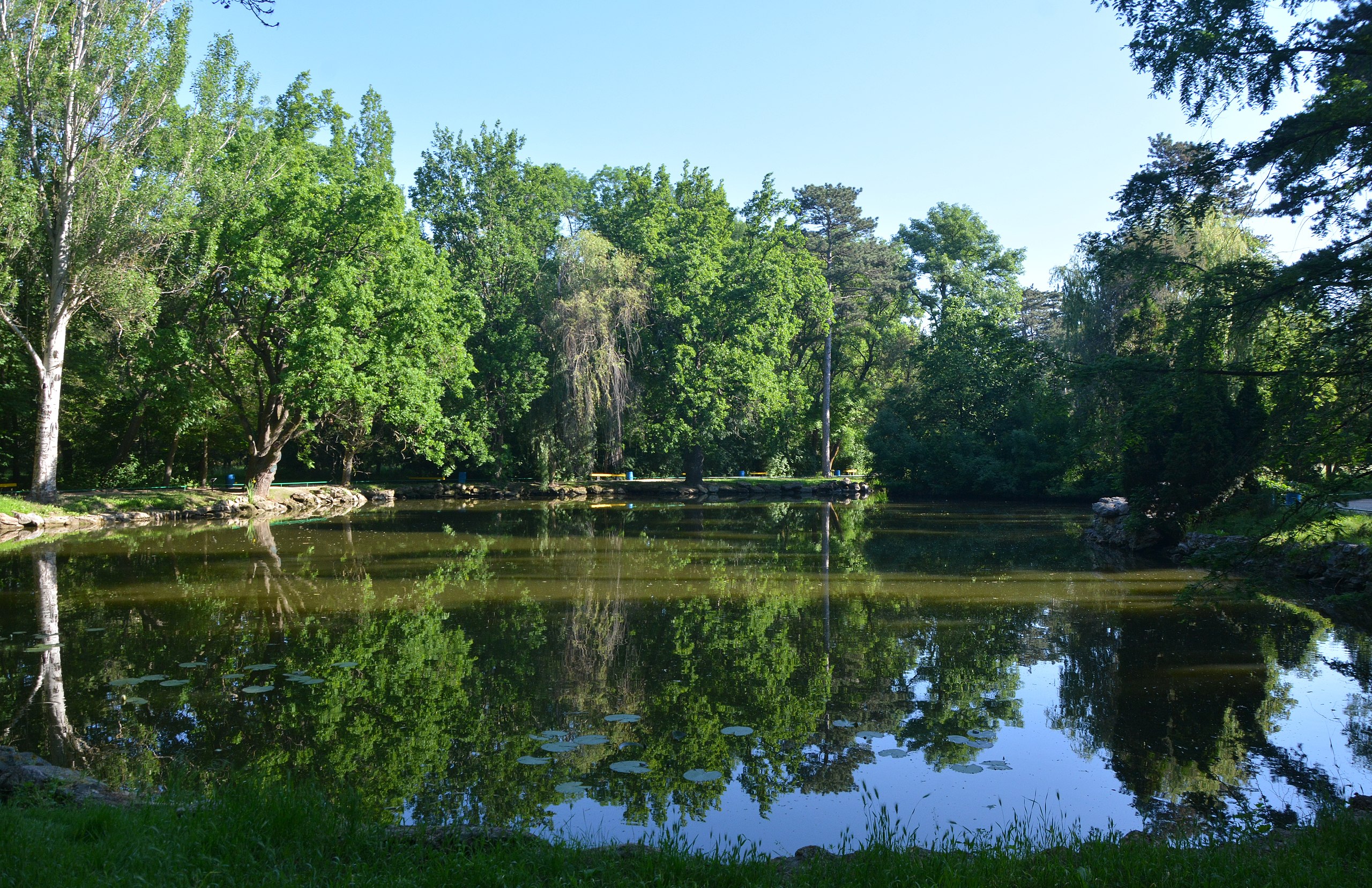 Файл:Askania-Nova Arboretum 01 (YDS 1981).jpg
