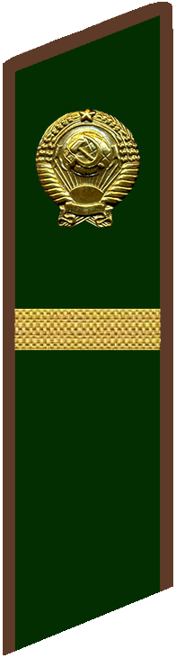 Младший советник финансовой службы 3 ранга