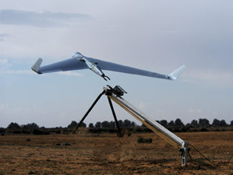 Файл:Img 051260 orig.jpg