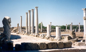 Salamis gym 01.jpg