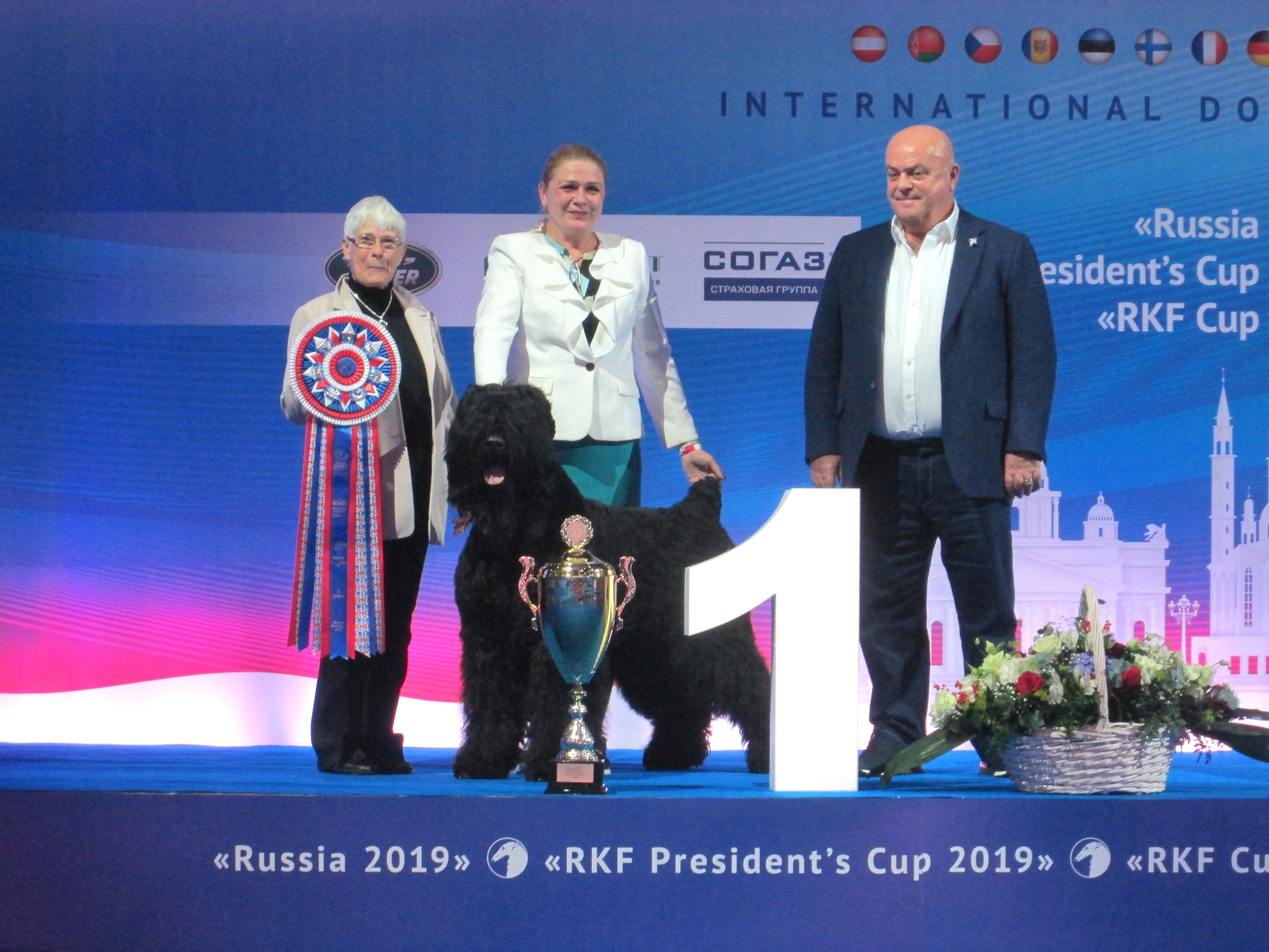 Собака-победитель выставки «Россия-2019», порода Русский чёрный терьер