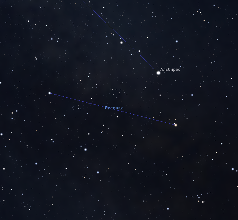 Созвездие Лисичка. Звезда Альбирео на иллюстрации принадлежит созвездию Лебедя.