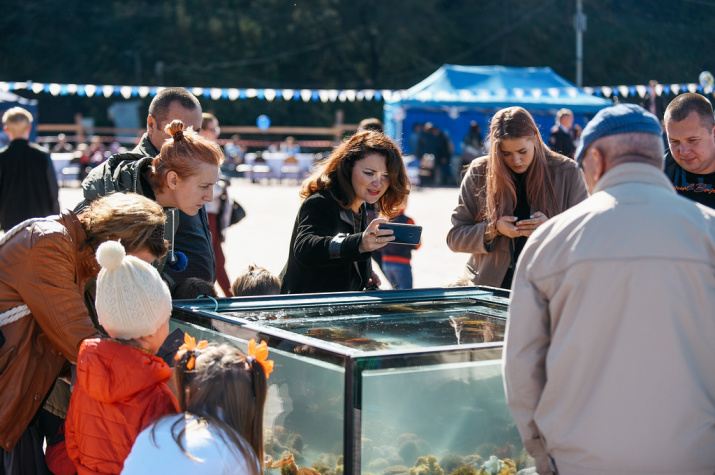 Море жизни (фестиваль)6.jpeg