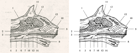 Устранение фона бумаги.png