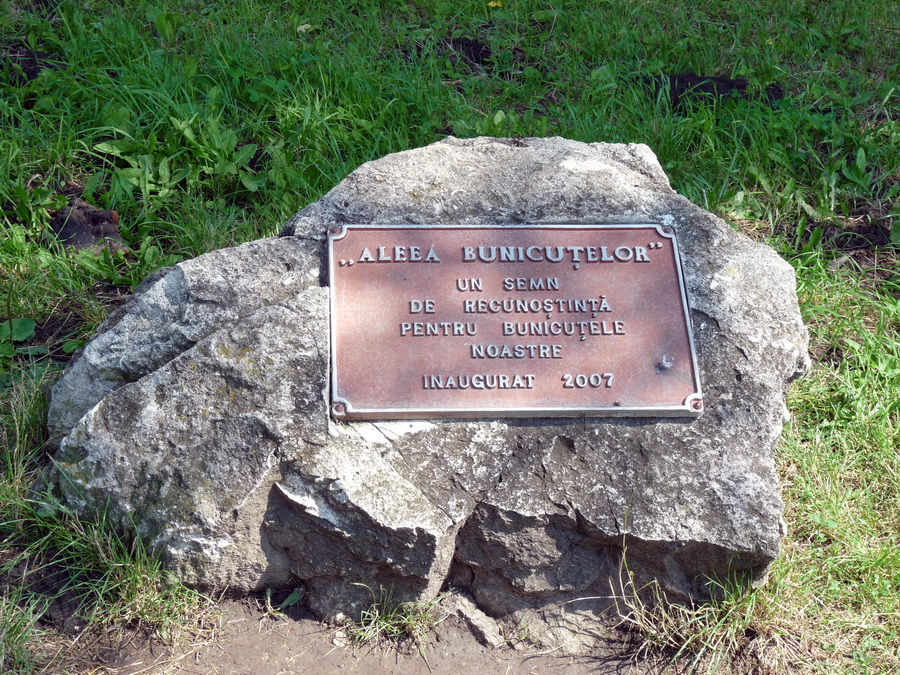 «Аллея бабушек»