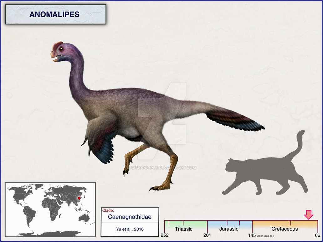 Anomalipes by cisiopurple dc76jg2-pre.png
