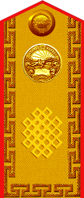 Погон Маршала Монголии Хорлогийна Чойбалсана