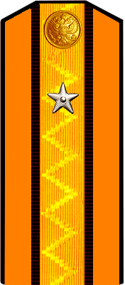 Зауряд-прапорщик на офицерской должности