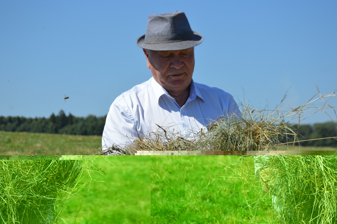 Viktor Vasilievich Gorobtsov.jpg