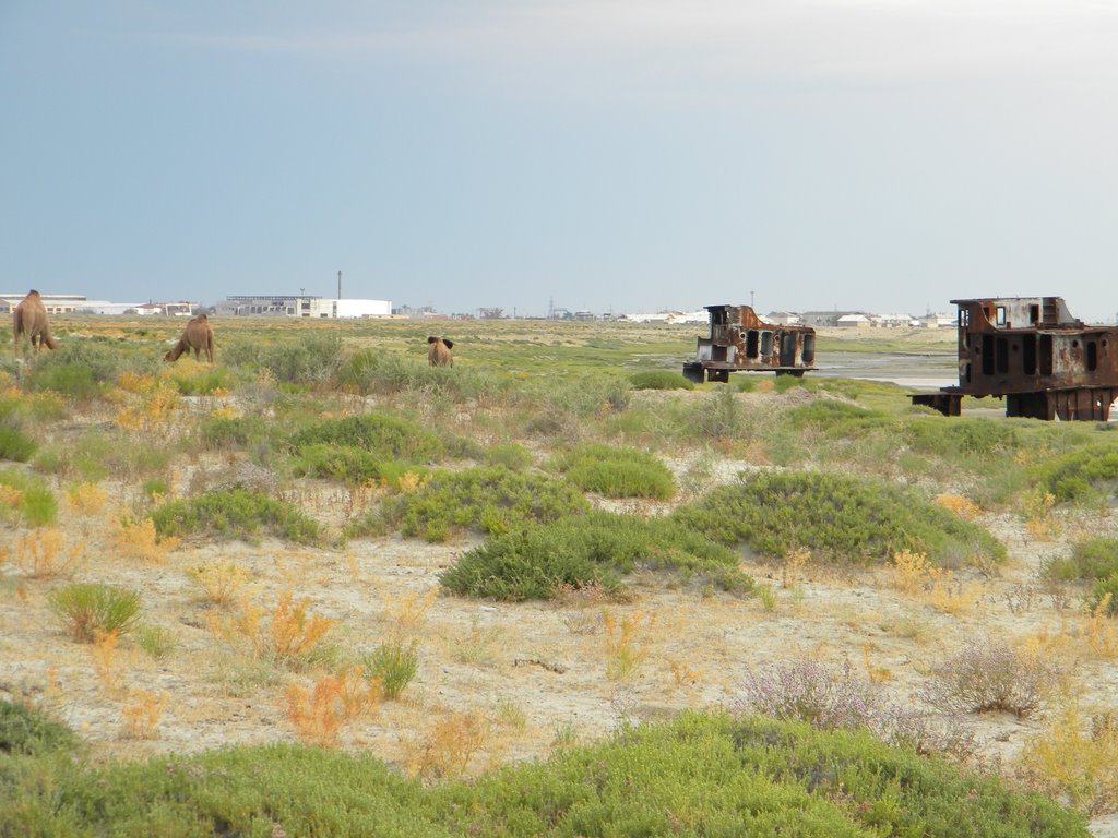 Бывший порт Аральска