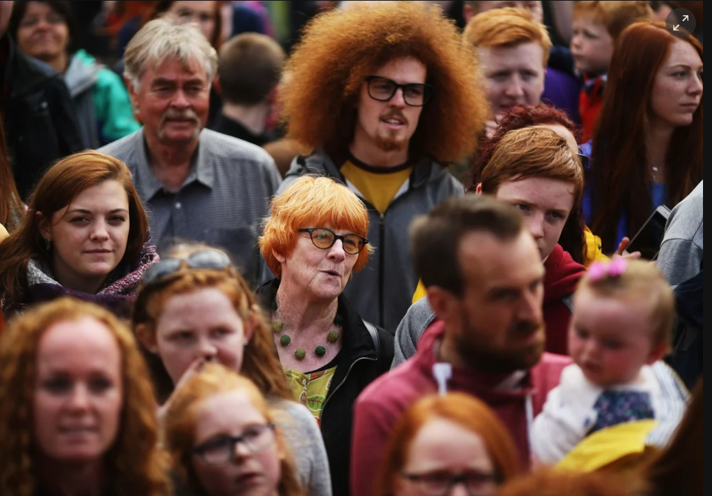 Файл:Фестиваль рыжих.png