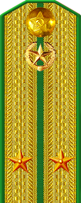 Парадный погон лейтенанта пограничных войск КГБ СССР