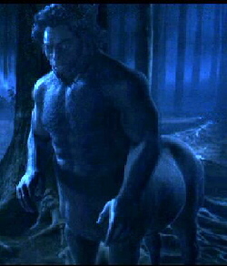 Кентавр Флоренц участвовал в битве, после чего был снова принят в стадо кентавров Запретного Леса