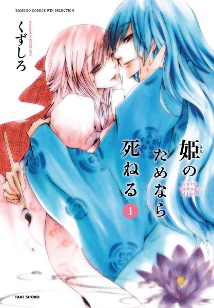 Hime no Tame nara Shineru.jpg