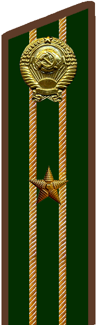 Старший советник финансовой службы 3 ранга