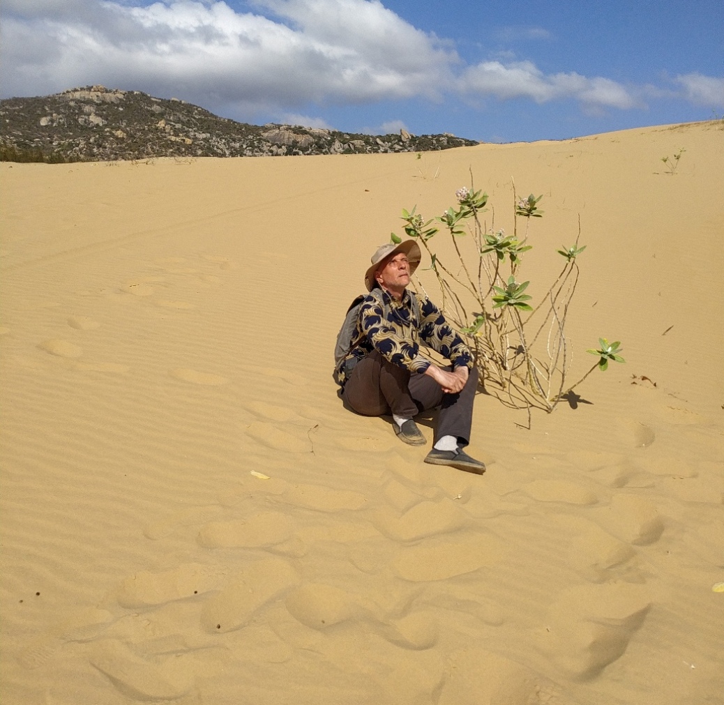 Файл:Вьетнам, Mũi Dinh.jpg