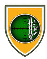 איסוף קרבי.png