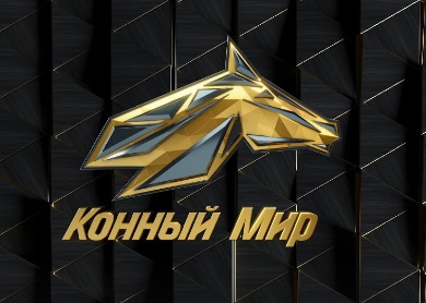 Файл:Логотип телеканала Конный мир.jpg