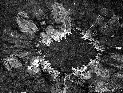 Фиг. 1 Рот Аномалокариса.