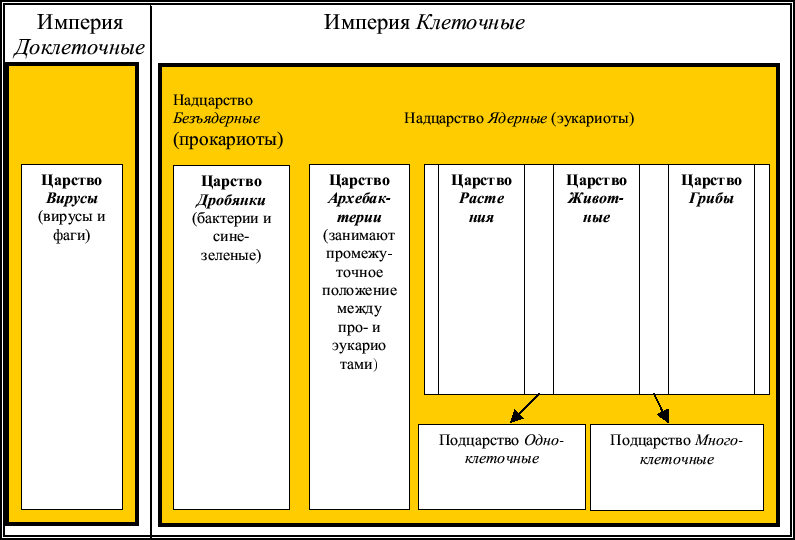 Один из вариантов современной классификации живых организмов