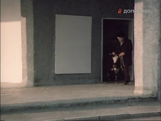 01. Тайное выгуливание Швелии по утрам.