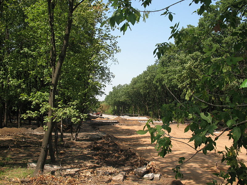 Вырубка парка под дорогу