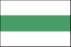 Флаг города Кодру