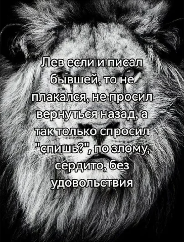 Лев 6.png