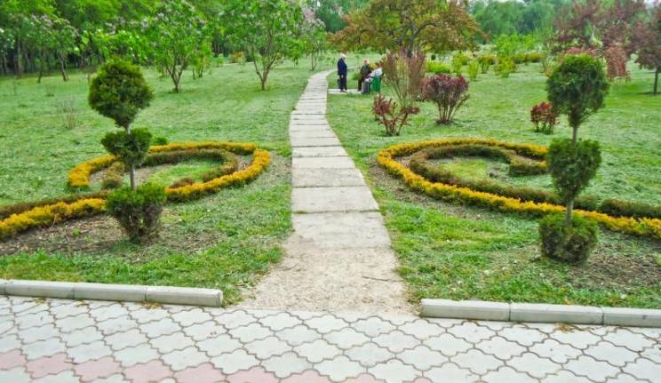 Парковая дорожка