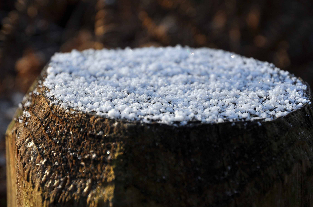 Файл:Snow Grains.jpg