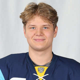 Файл:Александр Лукин (хоккеист).jpg