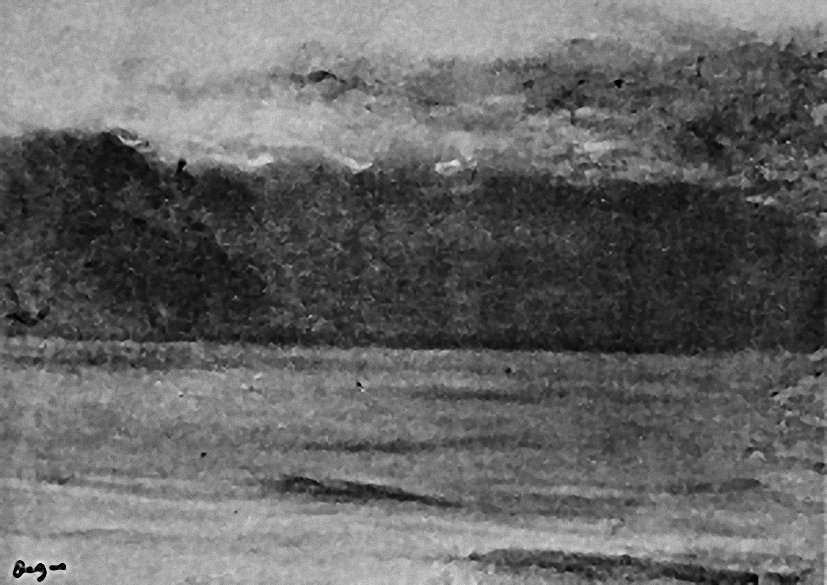 Sea Shore 1924.jpg